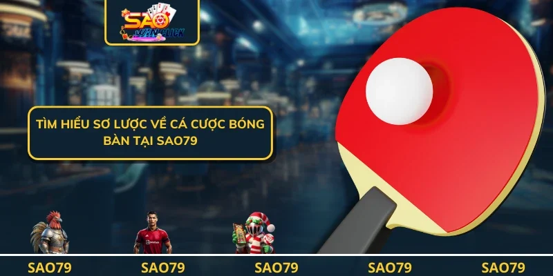 Tìm hiểu sơ lược về cá cược bóng bàn tại SAO79