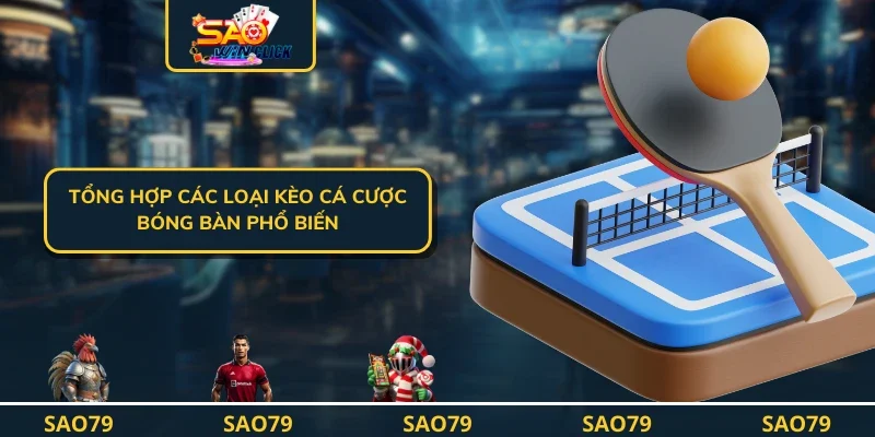 Tổng hợp các loại kèo cá cược bóng bàn phổ biến