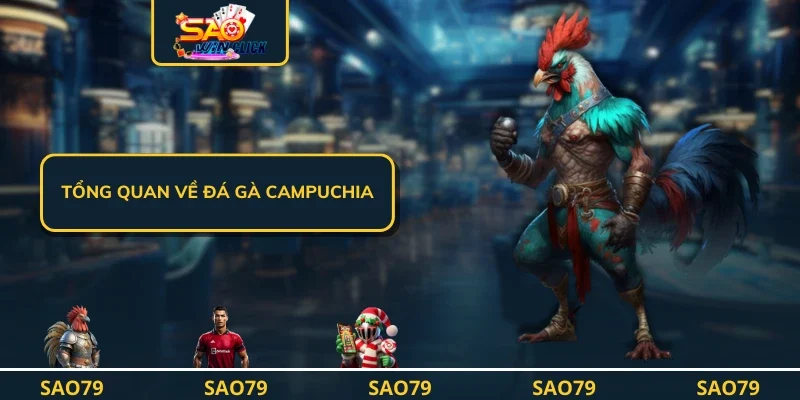 Tổng quan về Đá gà campuchia