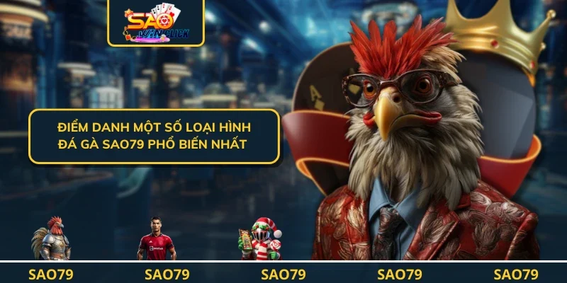 Điểm danh một số loại hình đá gà SAO79 phổ biến nhất 